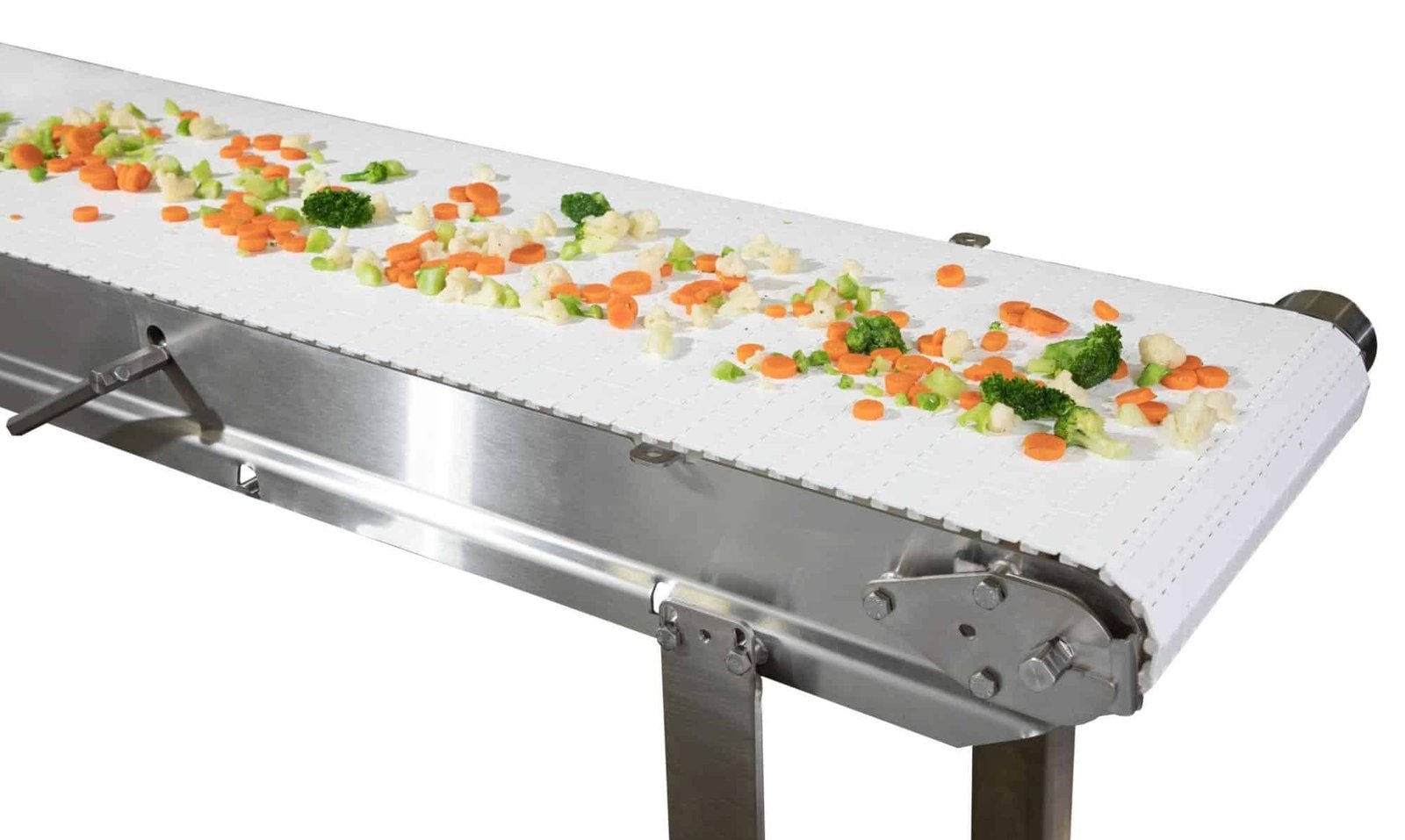 Food Grade Conveyor - Conveyor System by Static Automation